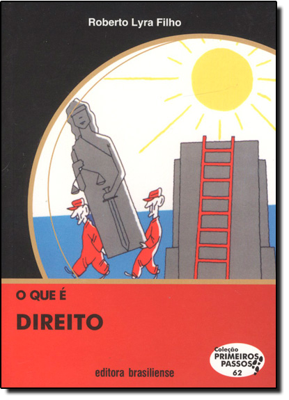 Livro O Que E Direito
