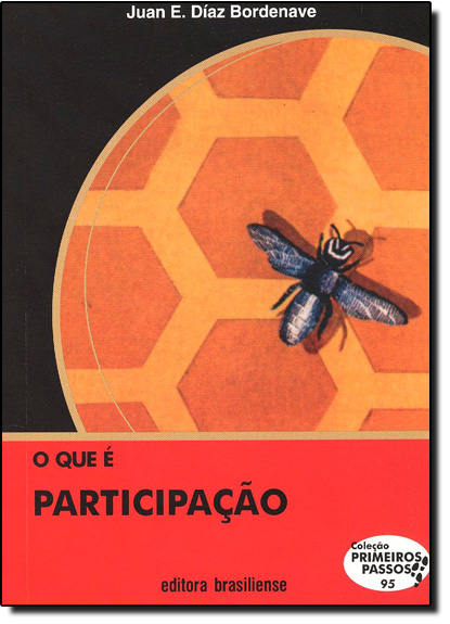 Livro O Que E Participacao - Primeiros Passos - 1