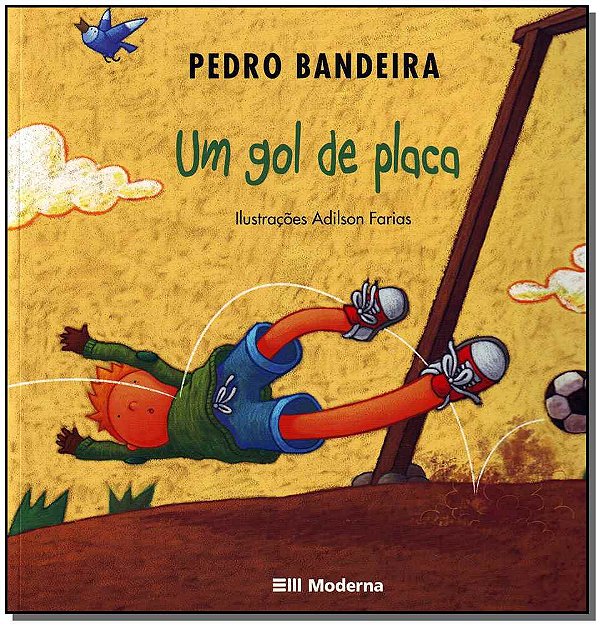 Livro Um Gol De Placa