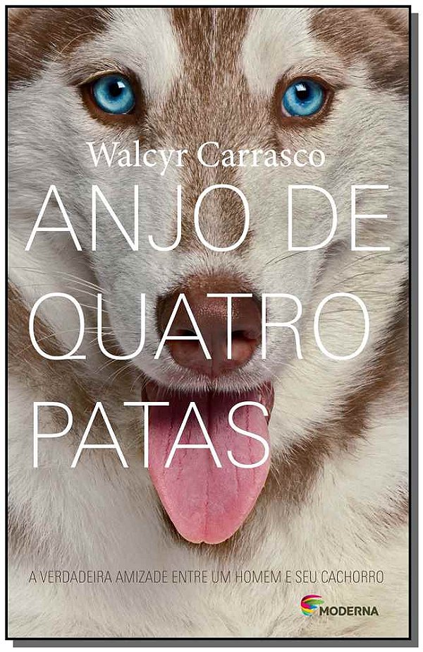 Livro Anjo De Quatro Patas