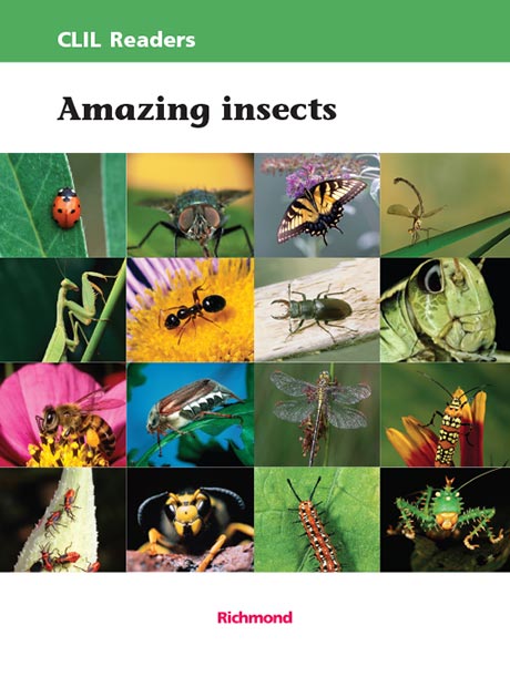 Livro Amazing insects