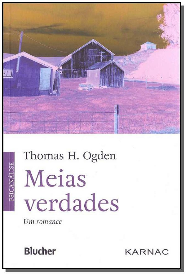 Livro Meias verdades: um romance