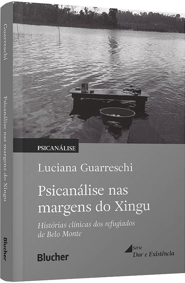 Livro Psicanálise nas margens do Xingu: histórias clínicas dos ...