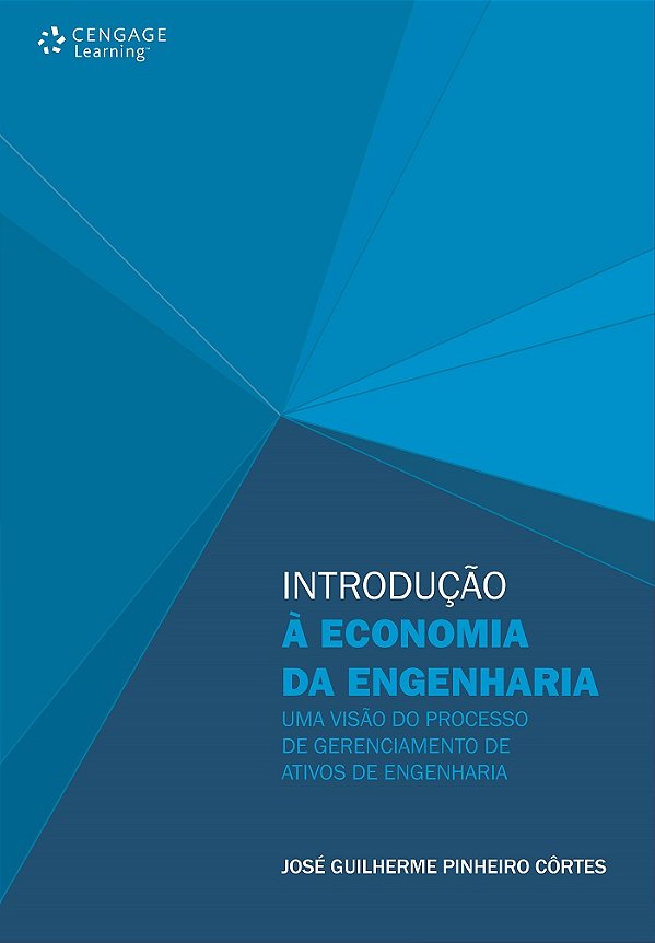 Livro Introdução à economia da engenharia: uma visão do p...