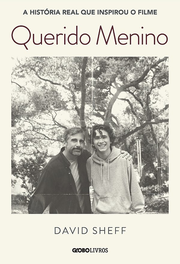 Livro Querido Menino: A jornada de um pai contra a depend...