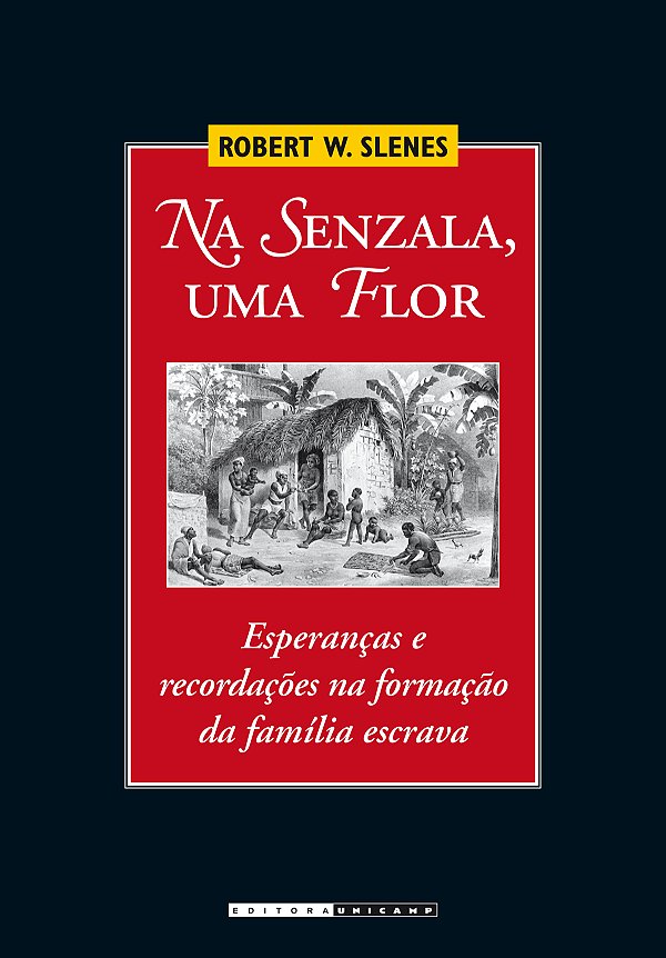 Livro Na senzala, uma flor