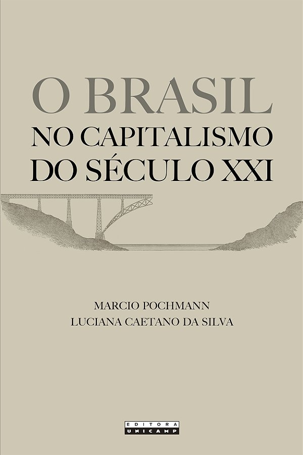 Livro O Brasil No Capitalismo Do Século Xxi