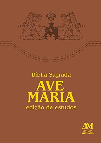 Livro Bíblia Sagrada - Edição de estudos
