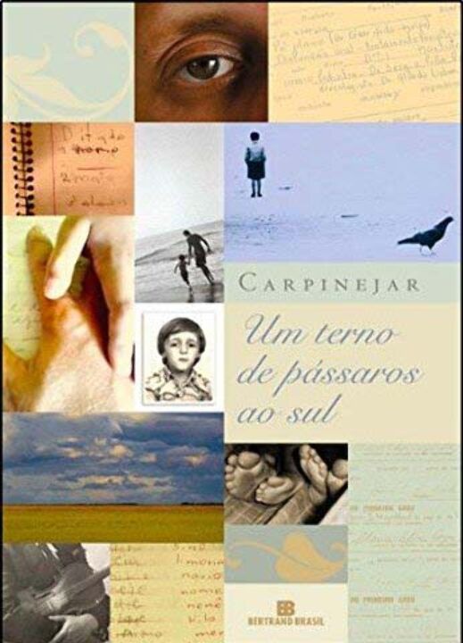 Livro Um terno de pássaros ao sul