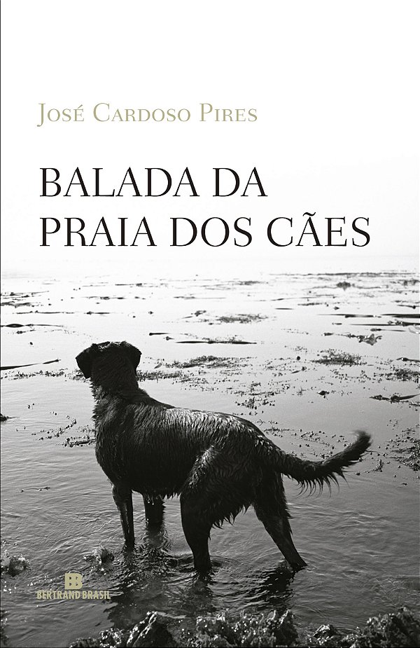 Livro Balada da praia dos cães