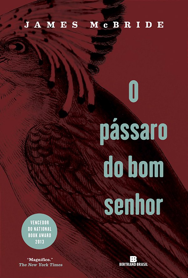 Livro O pássaro do bom senhor