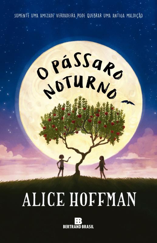 Livro O pássaro noturno