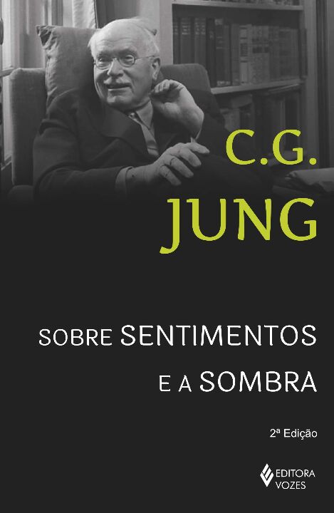 Livro Sobre sentimentos e a sombra: sessões de perguntas ...