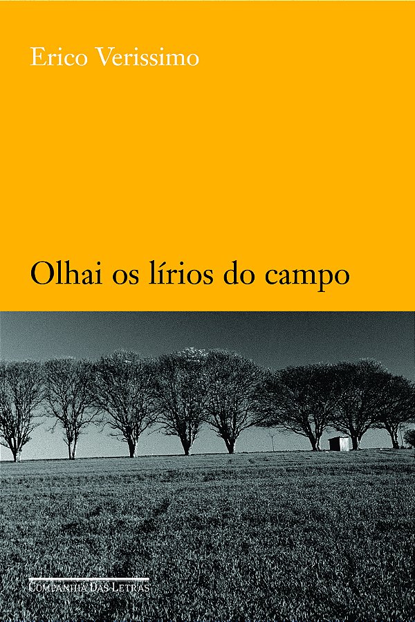 Livro Olhai os lírios do campo
