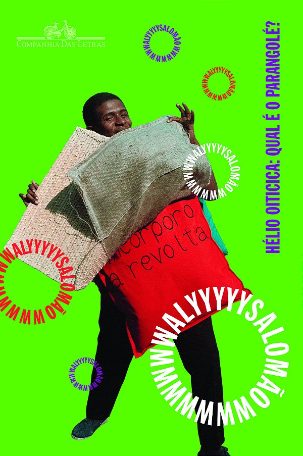 Livro Hélio oiticica: qual é o parangolé?