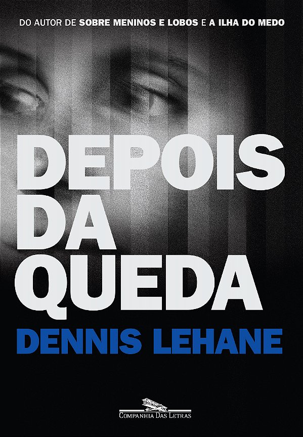Livro Depois da queda
