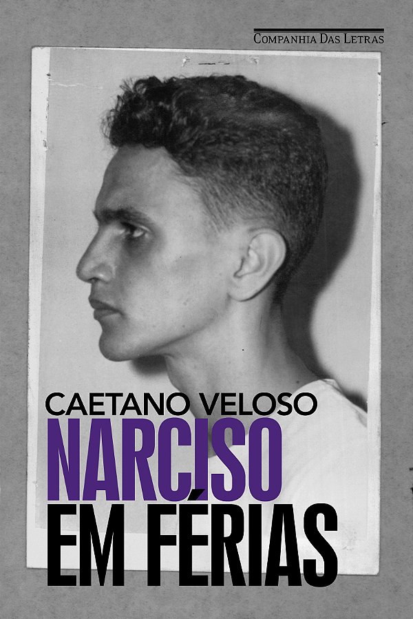 Livro Narciso em férias