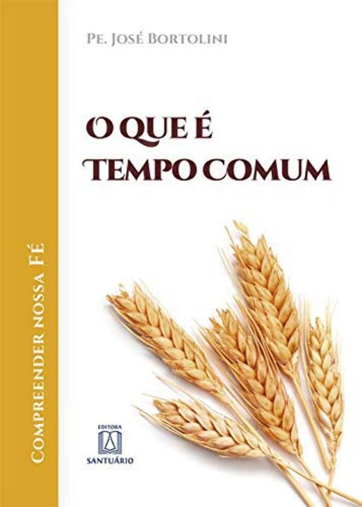 Livro O Que É Tempo Comum