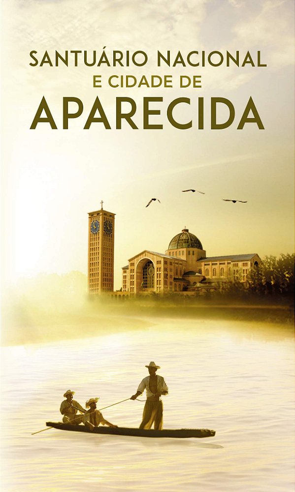 Livro Santuario nacional e cidade de aparecida