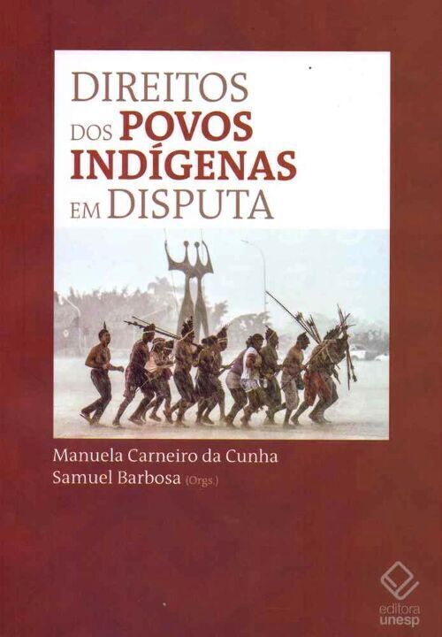 Livro Direitos dos povos indígenas em disputa