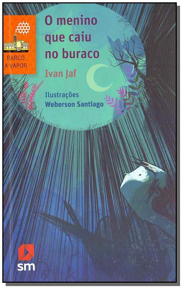 Livro O Menino Que Caiu No Buraco - 02Ed/17