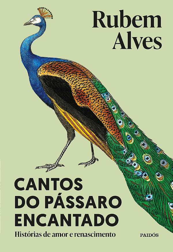 Livro Cantos do pássaro encantado: histórias de amor e renascim...