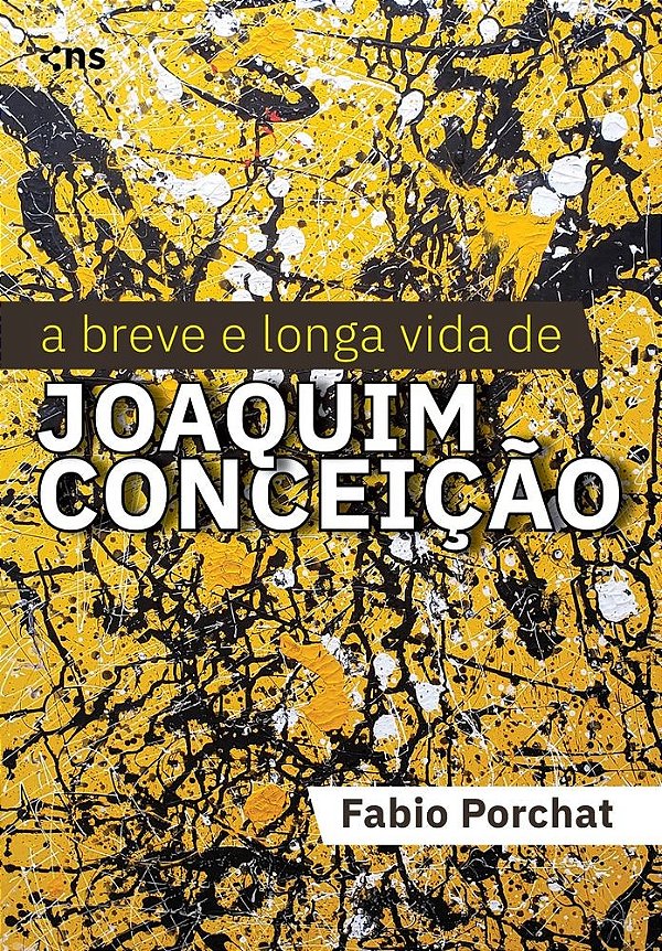 Livro A Breve E Longa Vida De Joaquim Conceição