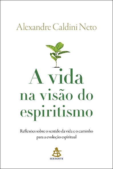 Livro A vida na visão do espiritismo: Reflexões sobre o s...