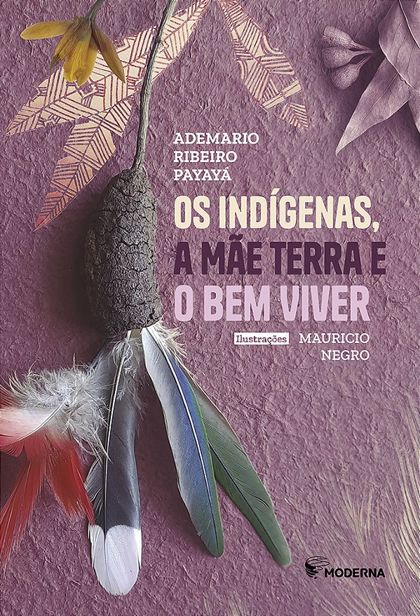 Livro Os Indígenas, A Mãe Terra E O Bem Viver