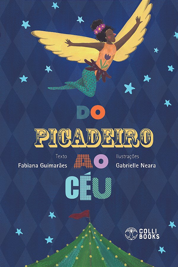 Livro Do Picadeiro Ao Céu