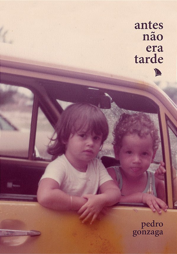 Livro Antes não era tarde