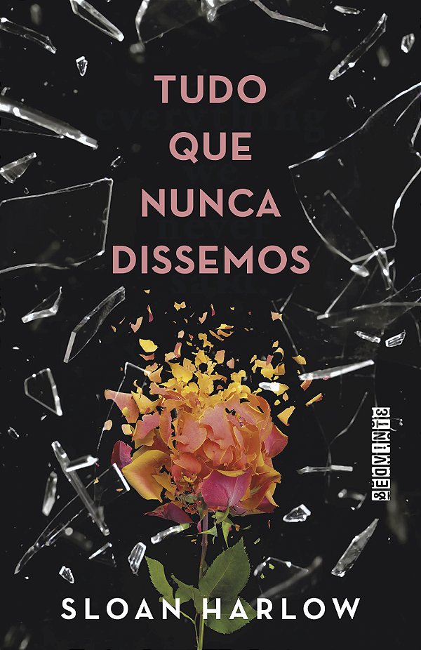 Livro Tudo Que Nunca Dissemos