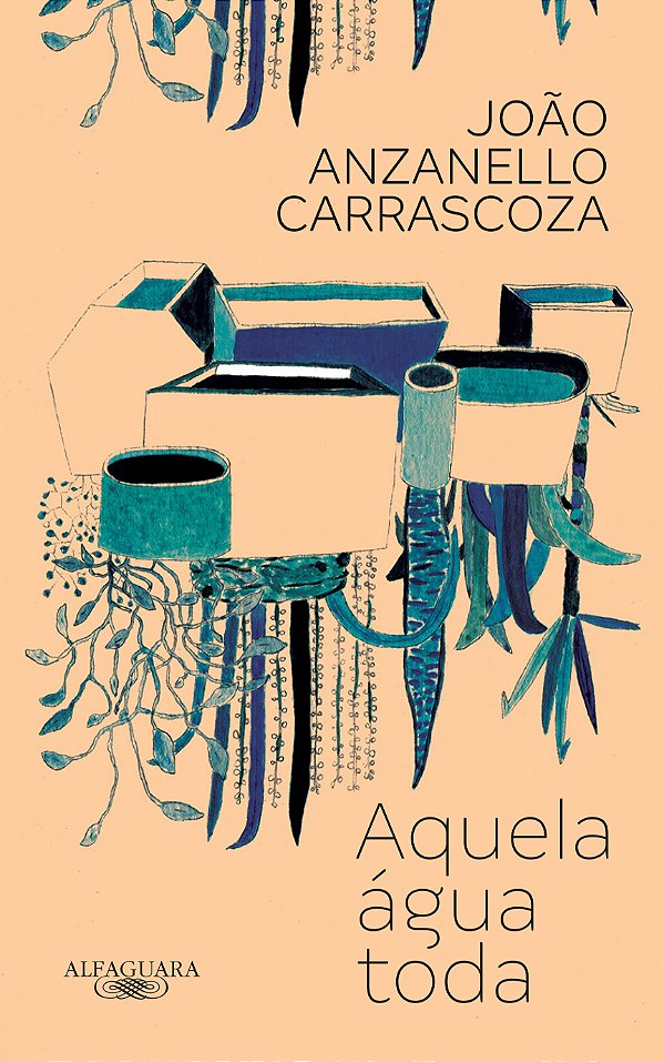 Livro Aquela água toda