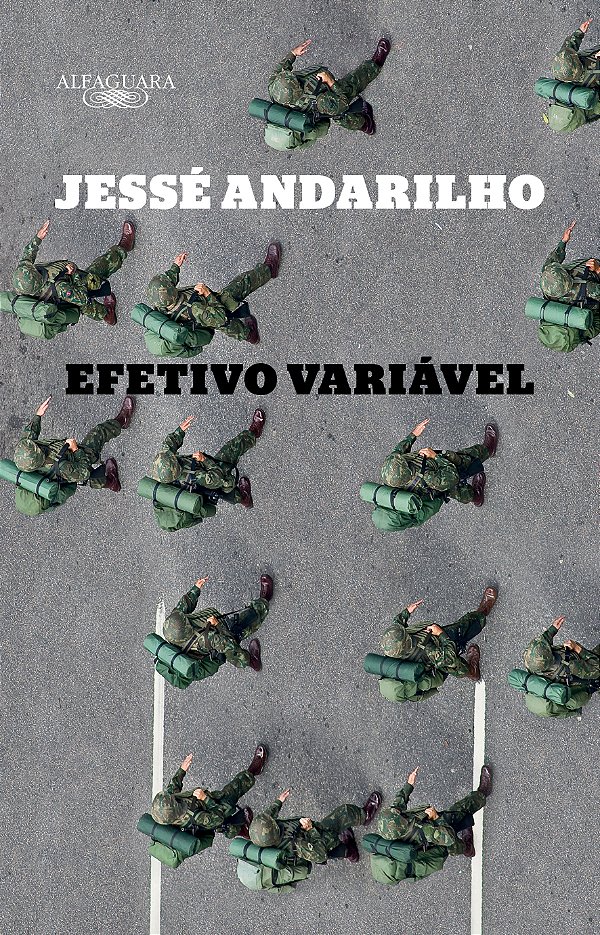 Livro Efetivo variável