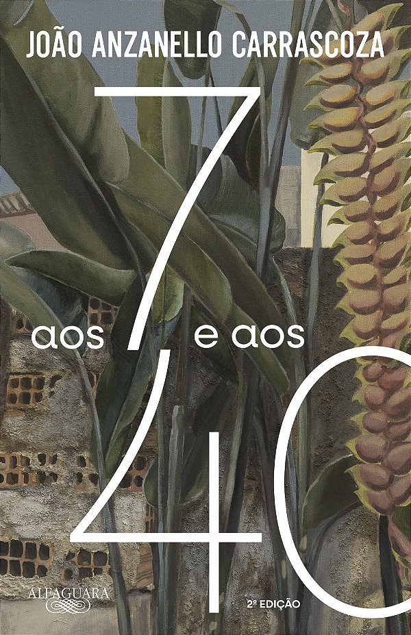 Livro Aos 7 E Aos 40