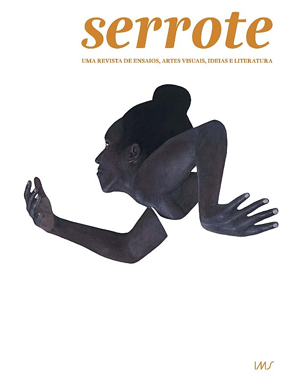 Livro Serrote - Vol.40