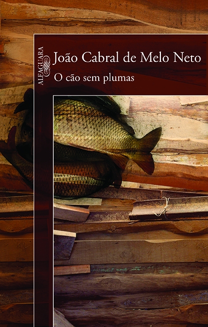 Livro O cão sem plumas