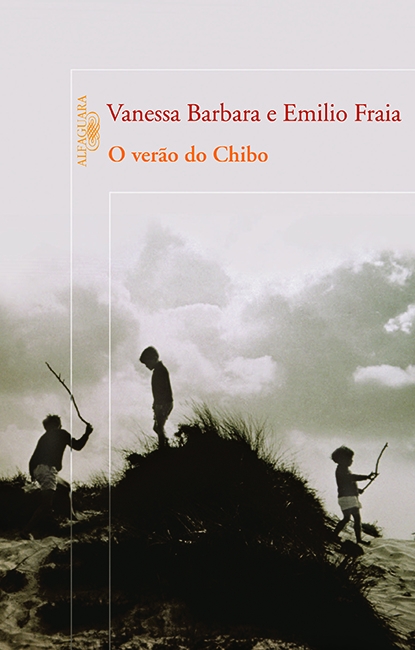 Livro O verão do chibo