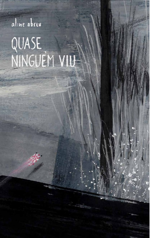 Livro Quase ninguém viu