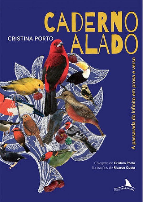 Livro Caderno alado: a passarada do Infinito em prosa e verso