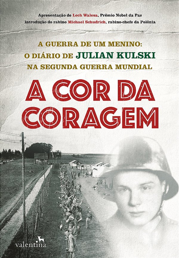 Livro A Cor da Coragem: A Guerra de um menino: O diário d...