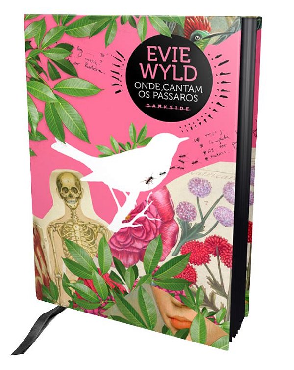 Livro Onde cantam os pássaros
