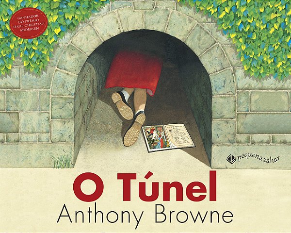 Livro O túnel