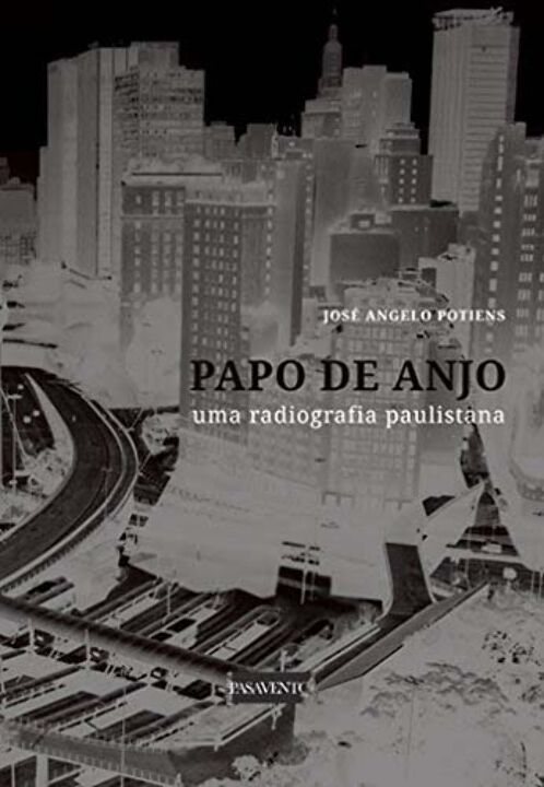 Livro Papo De Anjo