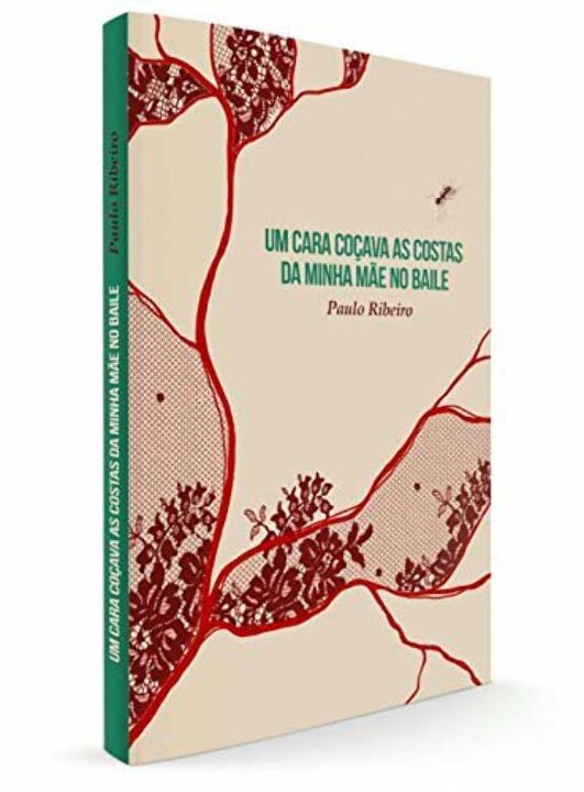 Livro Um cara coçava as costas da minha mãe no baile