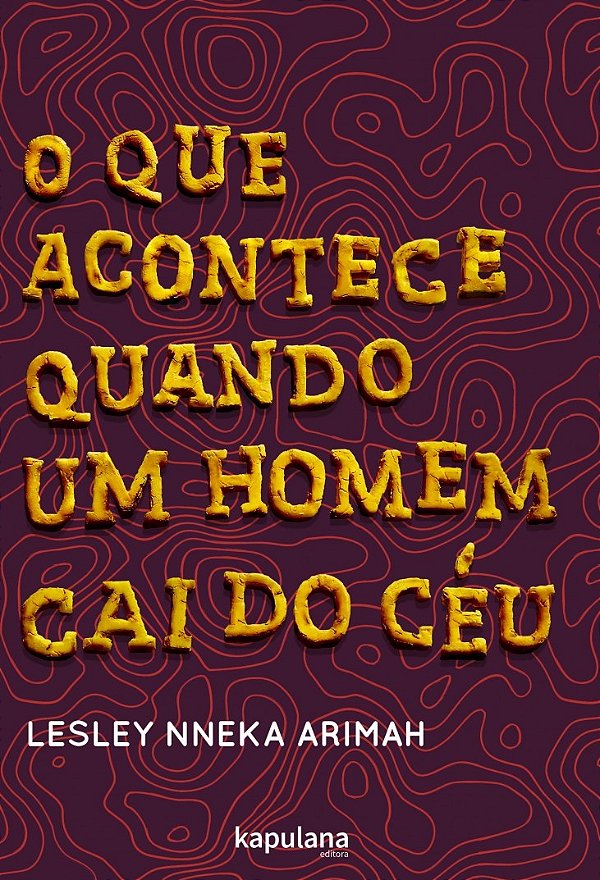 Livro O que acontece quando um homem cai do céu