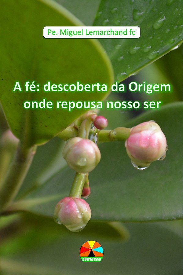 Livro A Fé: Uma Origem Onde Repousar O Nosso Ser