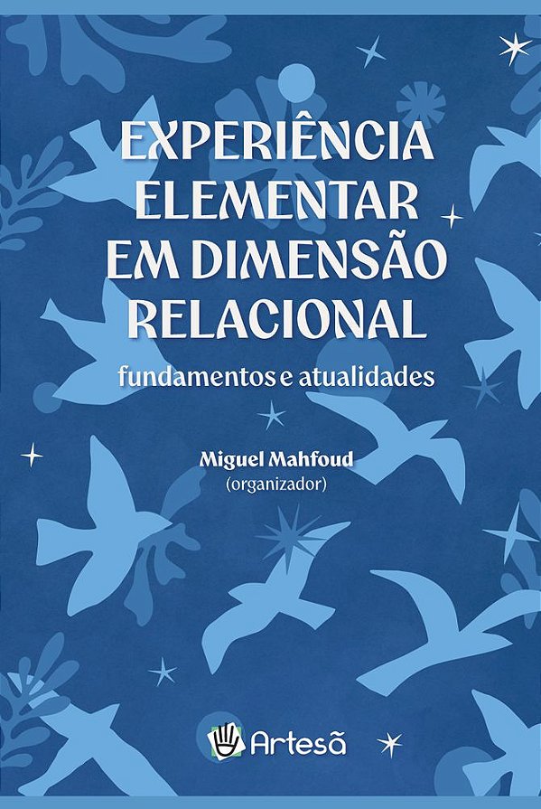 Livro Experiência elementar em dimensão relacional: Fundamentos...