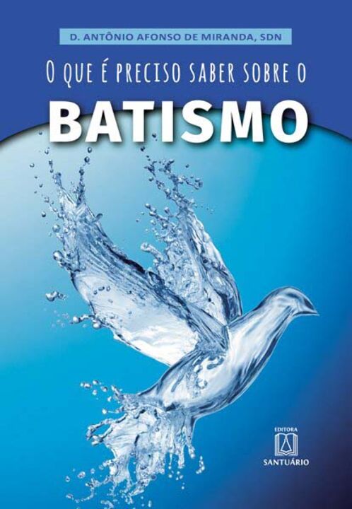 Livro O Que É Preciso Saber Sobre O Batismo