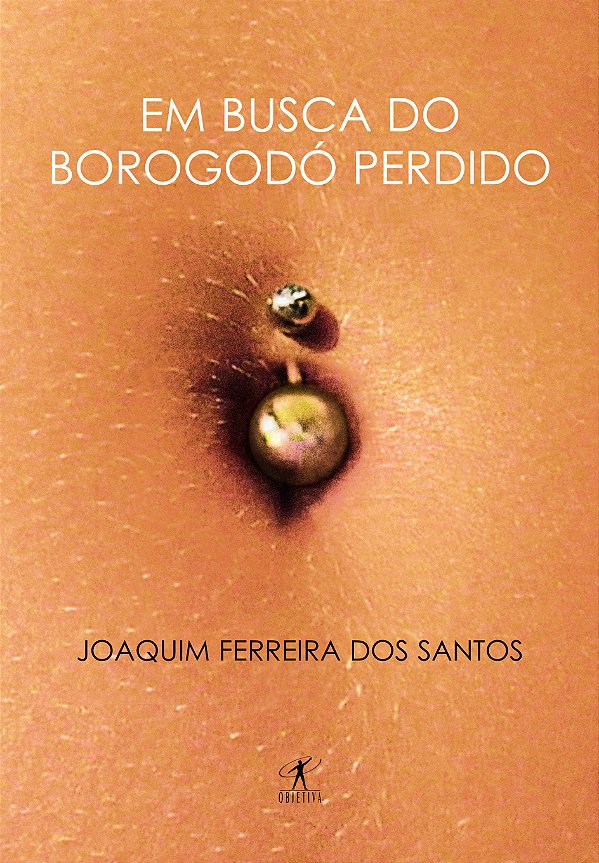Livro Em busca do borogodó perdido